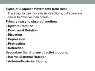 Upward Scapular Rotation THE BIOMECHNICS OF SHOUDER JOINT. pptx | PPTX