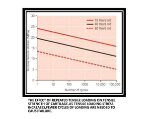 Biomech Of Cartilage | PPTX