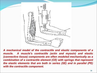 Biomechanical Slideshare power points of sts | PPT