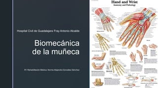 ◤
Hospital Civil de Guadalajara Fray Antonio Alcalde
Biomecánica
de la muñeca
R1 Rehabilitación Médica: Norma Alejandra González Sánchez
 
