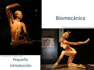 Biomecánica 
Pequeña 
introducción 
http://www.fundacionunam.org.mx/blog/2013/07/page/4 
http://panoramaaz.com/wp-content/uploads/2011/03/Body-300x199.jpg  