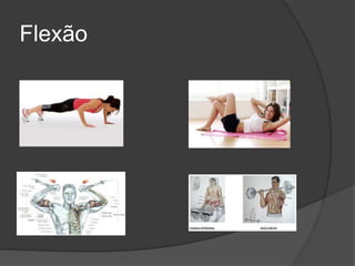 Flexão
 