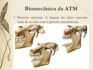 Biomecânica da ATM Pressões internas: A largura do disco articular varia de acordo com a pressão interarticular. 