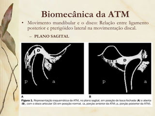 Biomecânica da ATM Movimento mandibular e o disco: Relação entre ligamento posterior e pterigóideo lateral na movimentação discal. PLANO SAGITAL 