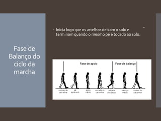 Biomecânica da Marcha humana visão de avaliação | PDF