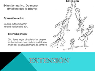 Extensión activa. De menor
amplitud que la pasiva:
Extensión activa:
Rodilla extendida 20°
Rodilla flexionada 10°.
Extensión pasiva:
20º, tiene lugar al adelantar un pie,
inclinando el cuerpo hacia delante
mientras el otro permanece inmóvil.
 