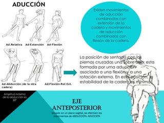 Amplitud máxima
de la abducción es
30°
La posición de sentado con las
piernas cruzadas una sobre otra, esta
formada por urna aducción
asociada a una flexión y a una
rotación externa. En esta posición, la
estabilidad de la cadera es mínima.
Existen movimientos
de aducción
combinadas con
extensión de la
cadera y movimientos
de aducción
combinados con
flexión de la cadera.
EJE
ANTEPOSTERIOR
situado en un plano sagital, se efectúan los
movimientos de ABDUCCIÓN- ADUCCIÓN
 