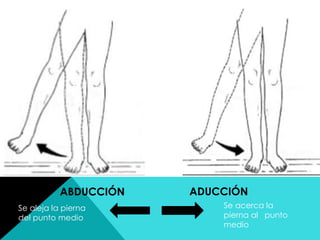 ADUCCIÓNABDUCCIÓN
Se aleja la pierna
del punto medio
Se acerca la
pierna al punto
medio
 