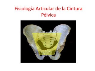 Fisiología Articular de la Cintura
Pélvica
 