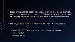 • Estas articulaciones están reforzadas por ligamentos colaterales,
que se encuentran laxos durante la flexión intermedia pero tensos
en flexión y extensión forzada, lo que pone el límite al movimiento.
• Los rangos de movimiento normales de estas articulaciones son:
• Flexión IFP: 90-135° (Aumento progresivo del índice al meñique).
• Flexión IFD: 90°
• Extensión IFD: 30°
 