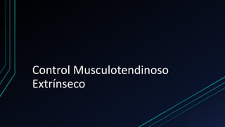Control Musculotendinoso
Extrínseco
 