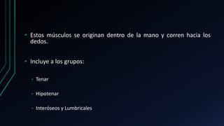 • Estos músculos se originan dentro de la mano y corren hacia los
dedos.
• Incluye a los grupos:
• Tenar
• Hipotenar
• Interóseos y Lumbricales
 