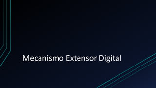 Mecanismo Extensor Digital
 
