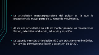• La articulación metacarpocarpiana del pulgar es la que le
proporciona la mayor parte de su rango de movimiento.
• Al ser una articulación en silla de montar permite los movimientos
flexión, extensión, abducción, aducción y rotación.
• La segunda y tercera articulación MCC son prácticamente inmóviles,
la 4ta y 5ta permiten una flexión y extensión de 10-30°.
 
