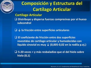 Composición y Estructura del
Cartílago Articular
Neumann, D. (s.f.). Fundamentos de Rehabilitación Física. Paidotribo.
 Distribuye y dispersa fuerzas compresivas por el hueso
subcondral
 ↓ la fricción entre superficies articulares
 El coeficiente de fricción entre dos superficies
revestidas de cartílago articular y humedecidas con
líquido sinovial es muy ↓ (0,005-0,02 en la rodila p.ej.)
 5-20 veces < y más resbaladizo que el del hielo sobre
hielo (0,1)
Cartílago Articular
 