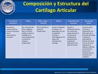 Composición y Estructura del
Cartílago Articular
Neumann, D. (s.f.). Fundamentos de Rehabilitación Física. Paidotribo.
Localización
anatómica
Fibras (GAG + Agua +
Solutos)
Células Especialización
mecánica
Correlación
clínica
Recubre los
extremos de los
huesos articulados
de las
articulaciones
sinoviales
Alto contenido de
fibras colágenas
tipo II; las fibras
ayudan a anclar el
cartílago en el
hueso subcondral y
a contener la
sustancia
fundamental
Alto contenido en
sustancia
fundamental
Número moderado
de células; son
aplanadas cerca de
la superficie
articular y
redondeadas en las
capas más
profundas del
cartílago
Resisten y
distribuyen fuerzas
de compresión
(carga articular) y
las fuerzas de
cizallamiento
(deslizamiento
superficial);
coeficiente muy
bajo de fricción
Durante la fase
inicial de la
osetoartritis, los
GAG salen de lo
profundo del tejido
y reducen la
capacidad de
distribución de las
fuerzas; el hueso
adyacente se
engrosa y absorbe
el aumento de
fuerza, que a
menudo causa la
formación de
osteófitos
 