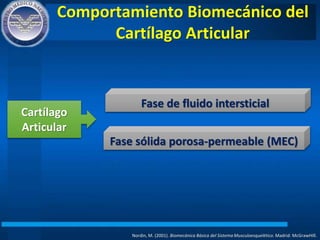 Comportamiento Biomecánico del
Cartílago Articular
Nordin, M. (2001). Biomecánica Básica del Sistema Musculoesquelético. Madrid: McGrawHIll.
Fase de fluido intersticial
Fase sólida porosa-permeable (MEC)
Cartílago
Articular
 