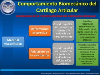 Comportamiento Biomecánico del
Cartílago Articular
Nordin, M. (2001). Biomecánica Básica del Sistema Musculoesquelético. Madrid: McGrawHIll.
NATURALEZA DE LA VISCOELASTICIDAD DEL CARTÍLAGO ARTICULAR
Material
viscoelástico
Deformación
progresiva
Cuando un sólido
viscoelástico se
somete a la
acción de una
carga constante
Relajación de
la solicitación
Cuando un sólido
viscoelástico se
somete a la
acción de una
deformación
constante
Un sólido
viscoelástico
responde con una
deformación inicial
rápida seguida de una
deformación lenta
progresivamente
creciente
Un sólido viscoelástico
responde con una
solicitación rápida inicial
alta seguida de una
solicitación lenta
progresivamente
decreciente requerida
para mantener la
deformación
 