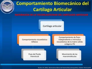 Comportamiento Biomecánico del
Cartílago Articular
Nordin, M. (2001). Biomecánica Básica del Sistema Musculoesquelético. Madrid: McGrawHIll.
NATURALEZA DE LA VISCOELASTICIDAD DEL CARTÍLAGO ARTICULAR
Cartílago articular
Comportamiento viscoelástico
bifásico
Flujo del fluido
intersticial
Comportamiento de flujo-
independiente o intrínseco
viscoelástico de la matriz sólida
colágeno-PG
Movimiento de las
macromoléculas
 