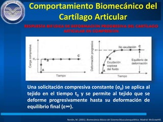 Comportamiento Biomecánico del
Cartílago Articular
Nordin, M. (2001). Biomecánica Básica del Sistema Musculoesquelético. Madrid: McGrawHIll.
RESPUESTA BIFÁSICA DE DEFORMACIÓN PROGRESIVA DEL CARTÍLAGO
ARTICULAR EN COMPRESIÓN
Una solicitación compresiva constante (σ0) se aplica al
tejido en el tiempo t0 y se permite al tejido que se
deforme progresivamente hasta su deformación de
equilibrio final (ε∞).
 