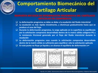 Comportamiento Biomecánico del
Cartílago Articular
Nordin, M. (2001). Biomecánica Básica del Sistema Musculoesquelético. Madrid: McGrawHIll.
RESPUESTA BIFÁSICA DE DEFORMACIÓN PROGRESIVA DEL CARTÍLAGO
ARTICULAR EN COMPRESIÓN
 La deformación progresiva se debe se debe a la exudación del fluido intersticial
 La exudación es más rápida inicialmente, y disminuye gradualmente hasta que se
produce el cese del flujo
 Durante la deformación progresiva, la carga aplicada en la superficie es equilibrada
por la solicitación compresiva desarrollada dentro de la matriz sólida colágeno-PG y
la resistencia friccional generada por el flujo del fluido intersticial durante la
exudación
 La deformación progresiva cesa cuando la solicitación compresiva desarrollada
dentro de la matriz sólida es suficiente para equilibrar sólo la solicitación aplicada
 En este punto no fluye ya líquido y se alcanza el equilibrio de deformación ε∞
 
