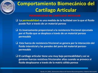Comportamiento Biomecánico del
Cartílago Articular
Nordin, M. (2001). Biomecánica Básica del Sistema Musculoesquelético. Madrid: McGrawHIll.
PERMEABILIDAD DEL CARTÍLAGO ARTICULAR
 La permeabilidad es una medida de la facilidad con la que el fluido
puede fluir a través de un material poroso
 Es inversamente proporcional a la resistencia friccional ejecutada
por el fluido que se desplaza a través de un material poroso
permeable
 Esta fuerza de resistencia friccional se genera por la interacción del
fluido intersticial y las paredes del poro del material poroso-
permeable
 El cartílago articular tiene una muy baja permeabilidad y así se
generan fuerzas resistivas friccionales altas cuando se provoca al
fluido desplazarse a través de la matriz sólida porosa
 