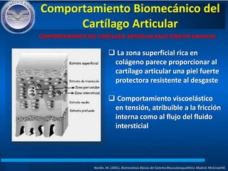 Comportamiento Biomecánico del
Cartílago Articular
Nordin, M. (2001). Biomecánica Básica del Sistema Musculoesquelético. Madrid: McGrawHIll.
COMPORTAMIENTO DEL CARTÍLAGO ARTICULAR BAJO TENSIÓN UNIAXIAL
 La zona superficial rica en
colágeno parece proporcionar al
cartílago articular una piel fuerte
protectora resistente al desgaste
 Comportamiento viscoelástico
en tensión, atribuible a la fricción
interna como al flujo del fluido
intersticial
 