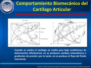 Comportamiento Biomecánico del
Cartílago Articular
Nordin, M. (2001). Biomecánica Básica del Sistema Musculoesquelético. Madrid: McGrawHIll.
COMPORTAMIENTO DEL CARTÍLAGO ARTICULAR EN CIZALLA PURA
Cuando se evalúa el cartílago en cizalla pura bajo condiciones de
deformación infinitesimal, no se producen cambios volumétricos o
gradientes de presión; por lo tanto, no se produce el flujo del fluido
intersticial.
 