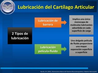 Lubricación del Cartílago Articular
Nordin, M. (2001). Biomecánica Básica del Sistema Musculoesquelético. Madrid: McGrawHIll.
2 Tipos de
lubricación
Lubricación de
barrera
Lubricación
película-fluido
Implica una única
monocapa de
moléculas lubricantes
adsorbida en cada
superficie de carga
Una delgada película
de fluido proporciona
una mayor
separación superficie
a superficie
 