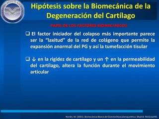Hipótesis sobre la Biomecánica de la
Degeneración del Cartílago
Nordin, M. (2001). Biomecánica Básica del Sistema Musculoesquelético. Madrid: McGrawHIll.
PAPEL DE LOS FACTORES BIOMECÁNICOS
 El factor iniciador del colapso más importante parece
ser la “laxitud” de la red de colágeno que permite la
expansión anormal del PG y así la tumefacción tisular
 ↓ en la rigidez de cartílago y un ↑ en la permeabilidad
del cartílago, altera la función durante el movimiento
articular
 