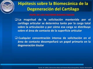 Hipótesis sobre la Biomecánica de la
Degeneración del Cartílago
Nordin, M. (2001). Biomecánica Básica del Sistema Musculoesquelético. Madrid: McGrawHIll.
PAPEL DE LOS FACTORES BIOMECÁNICOS
 La magnitud de la solicitación mantenida por el
cartílago articular se determina tanto por la carga total
sobre la articulación y por cómo esa carga se distribuye
sobre el área de contacto de la superficie articular
 Cualquier concentración intensa de solicitación en el
área de contacto desempeñará un papel primario en la
degeneración tisular
 