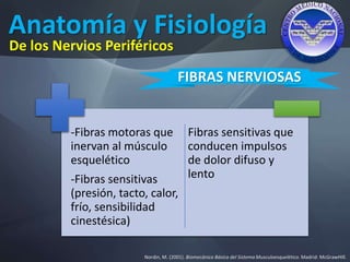 Anatomía y Fisiología
Nordin, M. (2001). Biomecánica Básica del Sistema Musculoesquelético. Madrid: McGrawHIll.
De los Nervios Periféricos
FIBRAS NERVIOSAS
-Fibras motoras que
inervan al músculo
esquelético
-Fibras sensitivas
(presión, tacto, calor,
frío, sensibilidad
cinestésica)
Fibras sensitivas que
conducen impulsos
de dolor difuso y
lento
 
