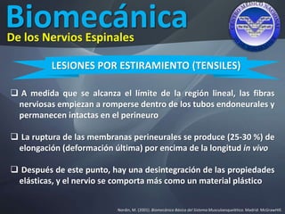 Biomecánica
Nordin, M. (2001). Biomecánica Básica del Sistema Musculoesquelético. Madrid: McGrawHIll.
De los Nervios Espinales
LESIONES POR ESTIRAMIENTO (TENSILES)
 A medida que se alcanza el límite de la región lineal, las fibras
nerviosas empiezan a romperse dentro de los tubos endoneurales y
permanecen intactas en el perineuro
 La ruptura de las membranas perineurales se produce (25-30 %) de
elongación (deformación última) por encima de la longitud in vivo
 Después de este punto, hay una desintegración de las propiedades
elásticas, y el nervio se comporta más como un material plástico
 