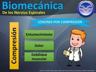 Biomecánica
Nordin, M. (2001). Biomecánica Básica del Sistema Musculoesquelético. Madrid: McGrawHIll.
De los Nervios Espinales
LESIONES POR COMPRESIÓN
Compresión
Entumecimiento
Dolor
Debilidad
muscular
 