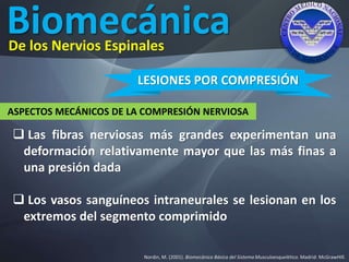 Biomecánica
Nordin, M. (2001). Biomecánica Básica del Sistema Musculoesquelético. Madrid: McGrawHIll.
De los Nervios Espinales
LESIONES POR COMPRESIÓN
ASPECTOS MECÁNICOS DE LA COMPRESIÓN NERVIOSA
 Las fibras nerviosas más grandes experimentan una
deformación relativamente mayor que las más finas a
una presión dada
 Los vasos sanguíneos intraneurales se lesionan en los
extremos del segmento comprimido
 