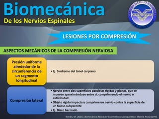 Biomecánica
Nordin, M. (2001). Biomecánica Básica del Sistema Musculoesquelético. Madrid: McGrawHIll.
De los Nervios Espinales
LESIONES POR COMPRESIÓN
ASPECTOS MECÁNICOS DE LA COMPRESIÓN NERVIOSA
•Ej. Síndrome del túnel carpiano
Presión uniforme
alrededor de la
circunferencia de
un segmento
longitudinal
•Nervio entre dos superficies paralelas rígidas y planas, que se
mueven aproximándose entre sí, comprimiendo el nervio o
extremidad
•Objeto rígido impacta y comprime un nervio contra la superficie de
un hueso subyacente
•Ej. Disco herniado
Compresión lateral
 