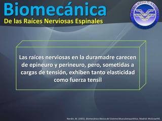 Biomecánica
Nordin, M. (2001). Biomecánica Básica del Sistema Musculoesquelético. Madrid: McGrawHIll.
De las Raíces Nerviosas Espinales
Las raíces nerviosas en la duramadre carecen
de epineuro y perineuro, pero, sometidas a
cargas de tensión, exhiben tanto elasticidad
como fuerza tensil
 