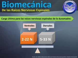 Biomecánica
Nordin, M. (2001). Biomecánica Básica del Sistema Musculoesquelético. Madrid: McGrawHIll.
De las Raíces Nerviosas Espinales
Ventrales Dorsales
2-22 N 5-33 N
Carga última para las raíces nerviosas espinales de la duramadre:
 