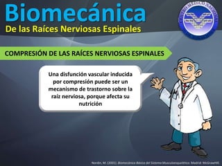 Biomecánica
Nordin, M. (2001). Biomecánica Básica del Sistema Musculoesquelético. Madrid: McGrawHIll.
De las Raíces Nerviosas Espinales
COMPRESIÓN DE LAS RAÍCES NERVIOSAS ESPINALES
Una disfunción vascular inducida
por compresión puede ser un
mecanismo de trastorno sobre la
raíz nerviosa, porque afecta su
nutrición
 