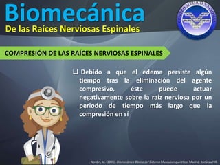 Biomecánica
Nordin, M. (2001). Biomecánica Básica del Sistema Musculoesquelético. Madrid: McGrawHIll.
De las Raíces Nerviosas Espinales
COMPRESIÓN DE LAS RAÍCES NERVIOSAS ESPINALES
 Debido a que el edema persiste algún
tiempo tras la eliminación del agente
compresivo, éste puede actuar
negativamente sobre la raíz nerviosa por un
periodo de tiempo más largo que la
compresión en sí
 