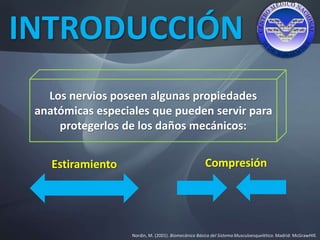 INTRODUCCIÓN
Nordin, M. (2001). Biomecánica Básica del Sistema Musculoesquelético. Madrid: McGrawHIll.
Estiramiento Compresión
Los nervios poseen algunas propiedades
anatómicas especiales que pueden servir para
protegerlos de los daños mecánicos:
 