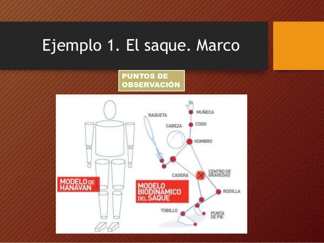 modelo de cadarço de tênis