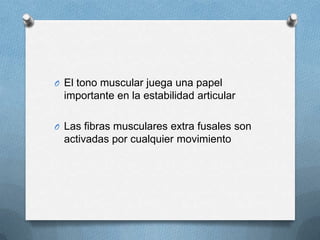 O El tono muscular juega una papel
 importante en la estabilidad articular

O Las fibras musculares extra fusales son
 activadas por cualquier movimiento
 