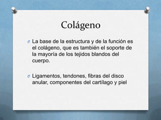 Colágeno
O La base de la estructura y de la función es
  el colágeno, que es también el soporte de
  la mayoría de los tejidos blandos del
  cuerpo.

O Ligamentos, tendones, fibras del disco
  anular, componentes del cartílago y piel
 