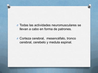 O Todas las actividades neuromusculares se
 llevan a cabo en forma de patrones.

O Corteza cerebral, mesencéfalo, tronco
 cerebral, cerebelo y medula espinal.
 