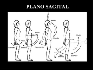 PLANO SAGITAL
 