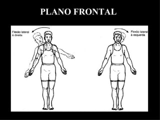 PLANO FRONTAL
 