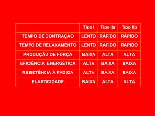 Tipo I   Tipo IIa   Tipo IIb

TEMPO DE CONTRAÇÃO      LENTO RÁPIDO        RÁPIDO

TEMPO DE RELAXAMENTO    LENTO RÁPIDO        RÁPIDO

 PRODUÇÃO DE FORÇA      BAIXA    ALTA       ALTA

EFICIÊNCIA ENERGÉTICA   ALTA     BAIXA      BAIXA

 RESISTÊNCIA À FADIGA   ALTA     BAIXA      BAIXA

    ELASTICIDADE        BAIXA    ALTA       ALTA
 