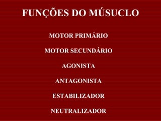 FUNÇÕES DO MÚSUCLO

    MOTOR PRIMÁRIO

   MOTOR SECUNDÁRIO

       AGONISTA

     ANTAGONISTA

    ESTABILIZADOR

    NEUTRALIZADOR
 