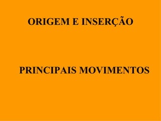 ORIGEM E INSERÇÃO



PRINCIPAIS MOVIMENTOS
 